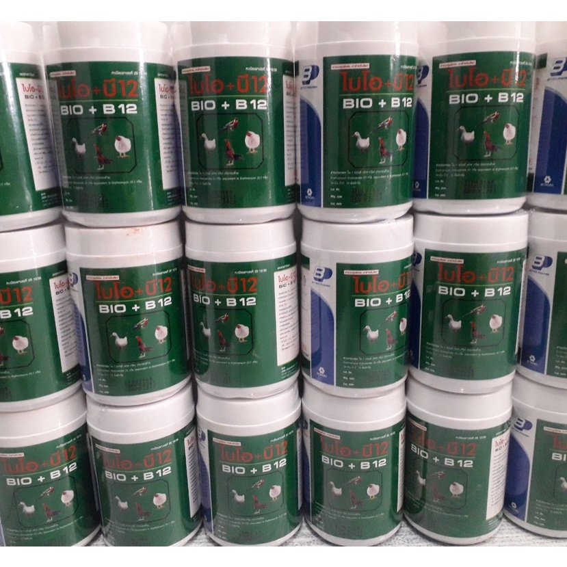 Bio B12 Thái Lan. Úm gà con, Phòng bệnh gà, vịt, chim cảnh