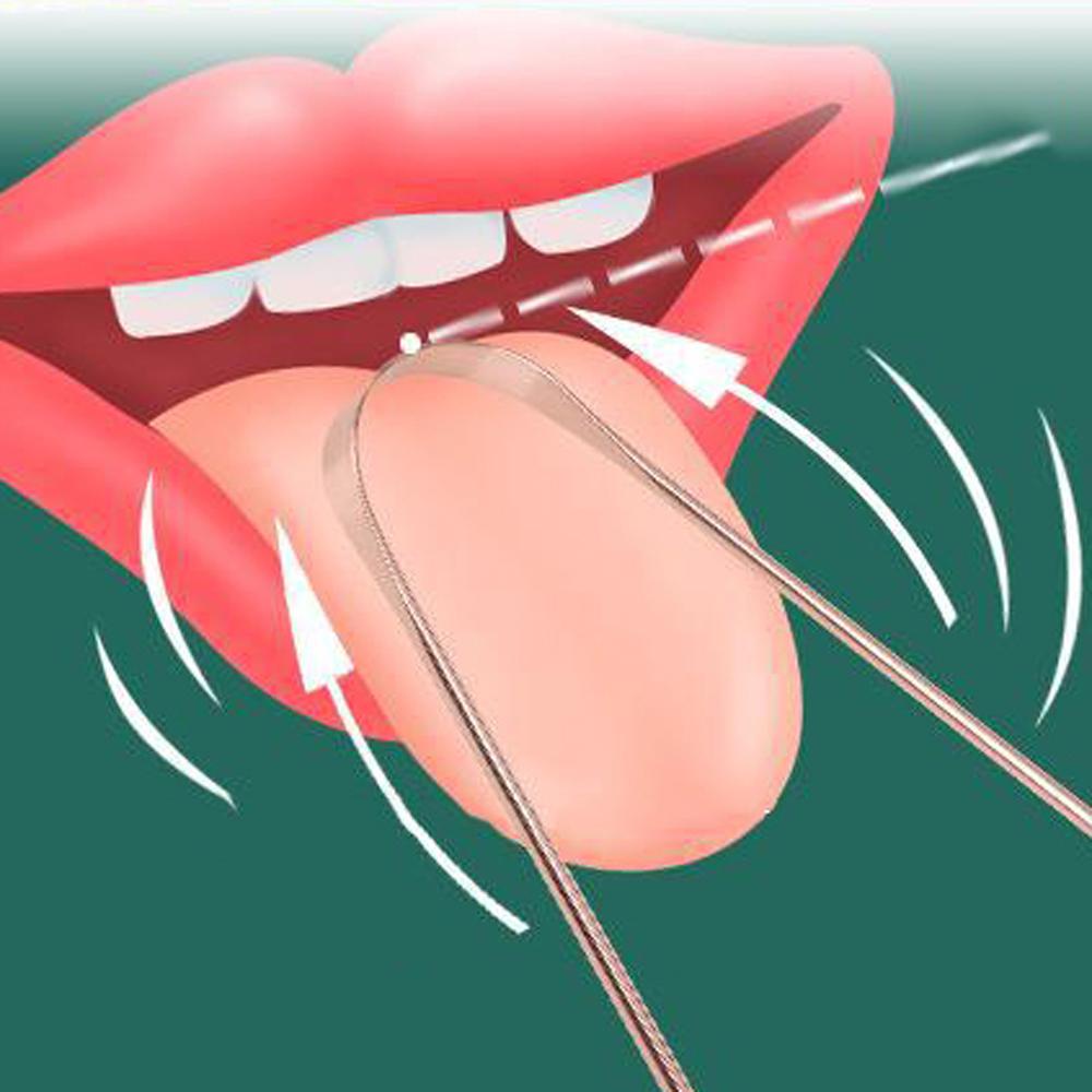 Bàn Chải Đánh Răng Lưỡi Bằng Thép Không Gỉ Cao Cấp