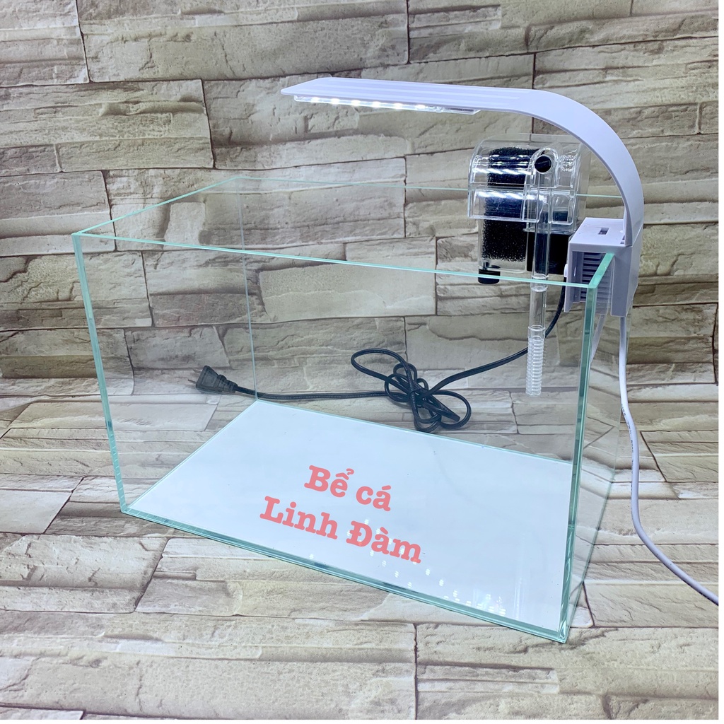 Bể cá mini kính siêu trong dài 35cm - Bể cá đẹp để bàn