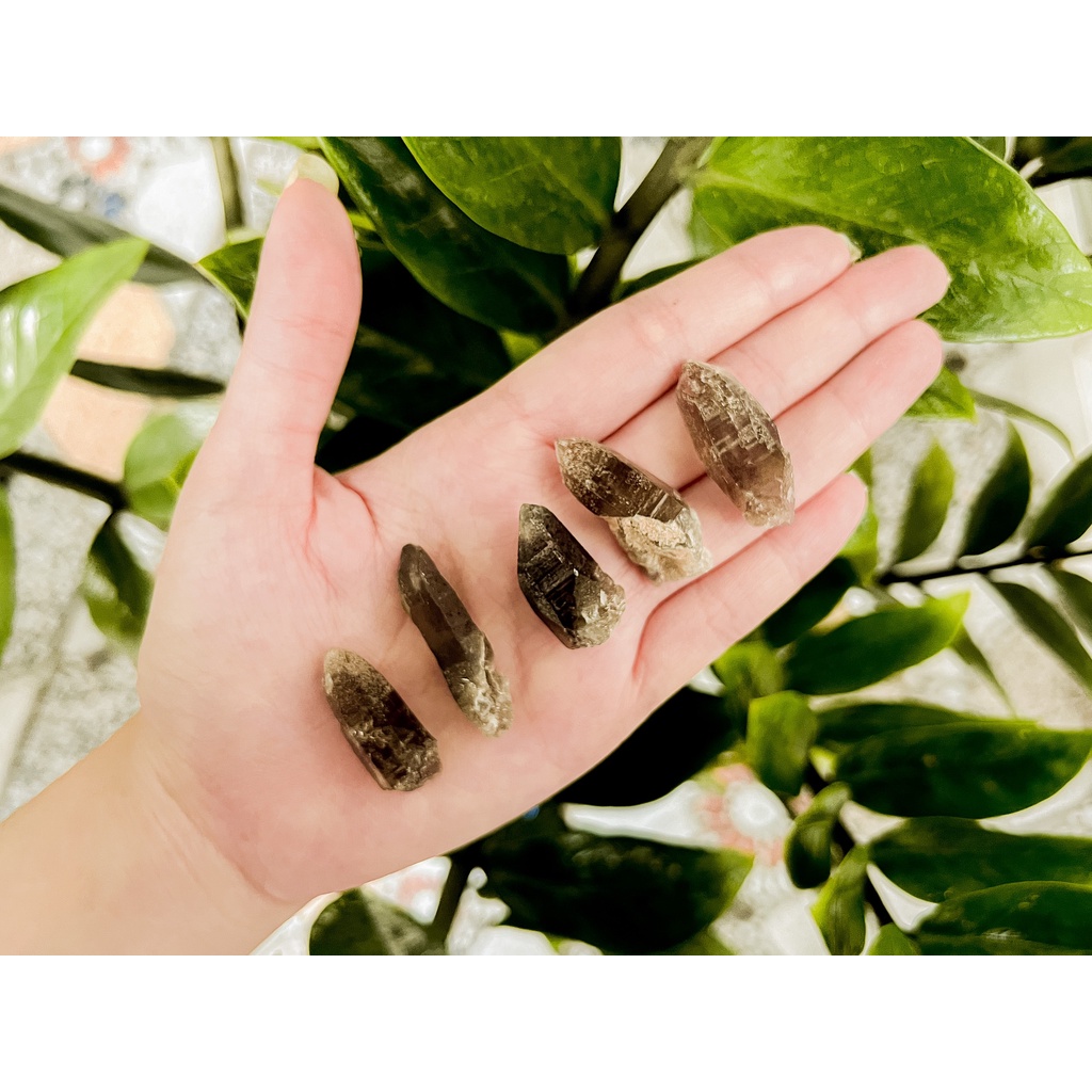 10 viên thạch anh khói [ĐÁ THÔ] - Raw Smoky Quartz