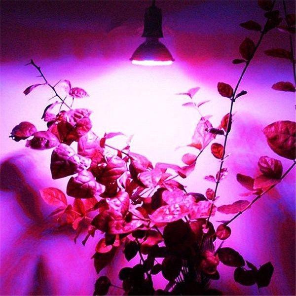 Đèn led E27 10W 106led dùng để trồng cây trong nhà tiện dụng