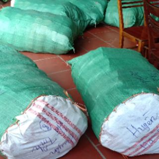 Dép tổ ong màu