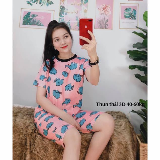 Đồ Bộ Pijama Thun Lạnh 3D Cao Cấp Tay Ngắn Quần Lửng Họa Tiết Hoạt Hình Dễ Thương