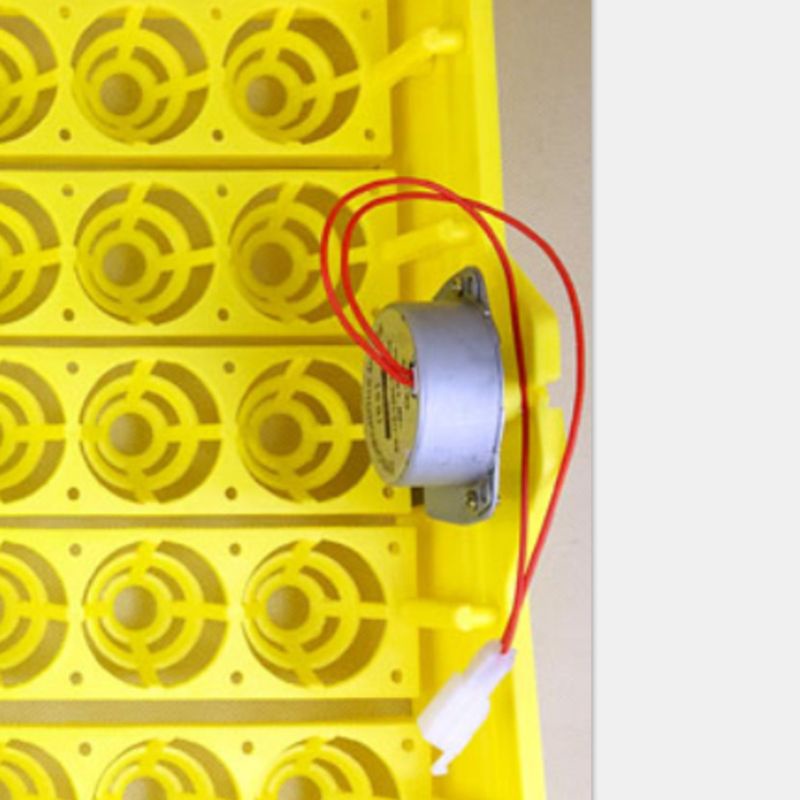 Máy Ấp Trứng Gà Kèm Động Cơ Xoay 220VAC