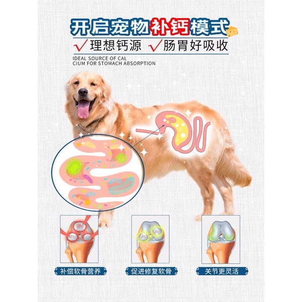 Bánh thưởng cho mèo - Phô mai viên petsnack cho mèo &amp; cún 210gr