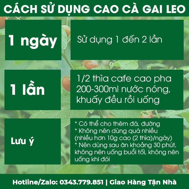 Cao cà gai leo giải độc gan Lê Thị Mịch nguyên chất, hủ 100gr đặc sản miền trung bổ gan làm quà