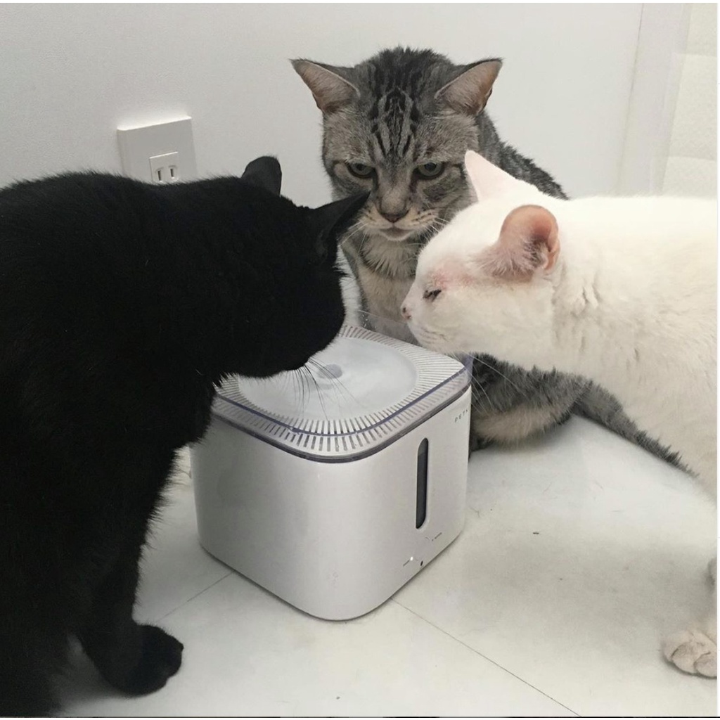 Máy lọc nước Petkit Eversweet 2S