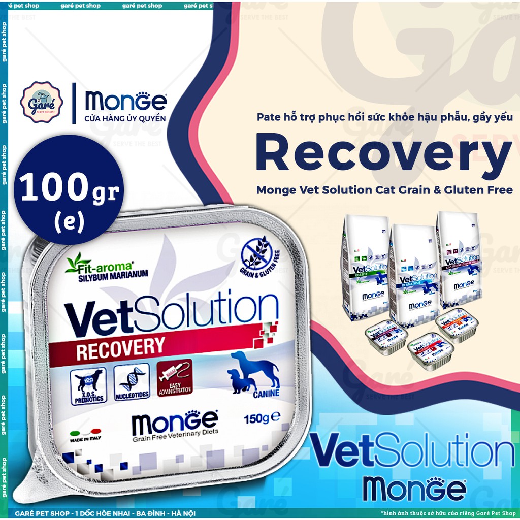 100g - Pate Recovery phục hồi sức hàng nhập Ý cho Mèo - Monge Vet Solution Recovery