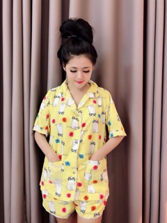 ĐỒ BỘ KATE QUẦN SHORT CỔ PYJAMAR