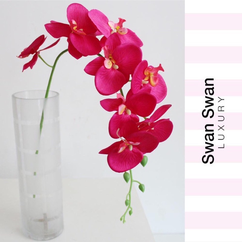 Lan Hồ Điệp Lụa 3D Cao Cấp Nhánh To 65cm