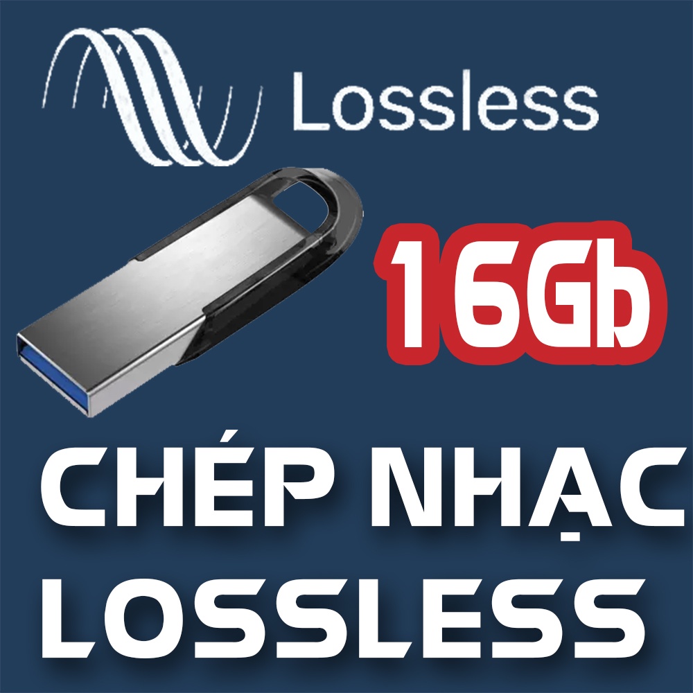 Chép nhạc chất lượng cao  - Bán kèm thiết bị lưu trữ USB