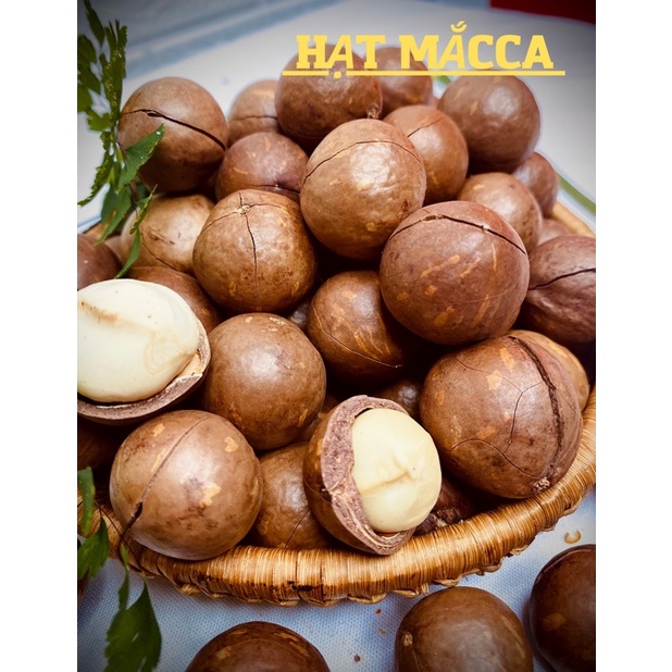 HẠT MĂCCA ĐÀ LẠT Thơm giòn,siêu béo 500gr