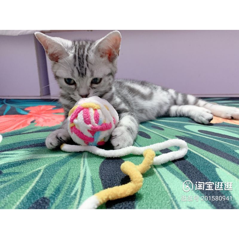 Bóng Len Đồ Chơi Cho Mèo