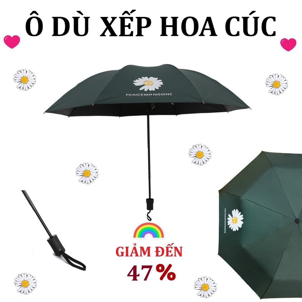 Ô Dù Xếp Hoa Cúc Daisy Hàn Quốc - Chống Tia UV, Chất Liệu Vải Dù Mật Độ Cao, Chống Nước Tuyệt Đối