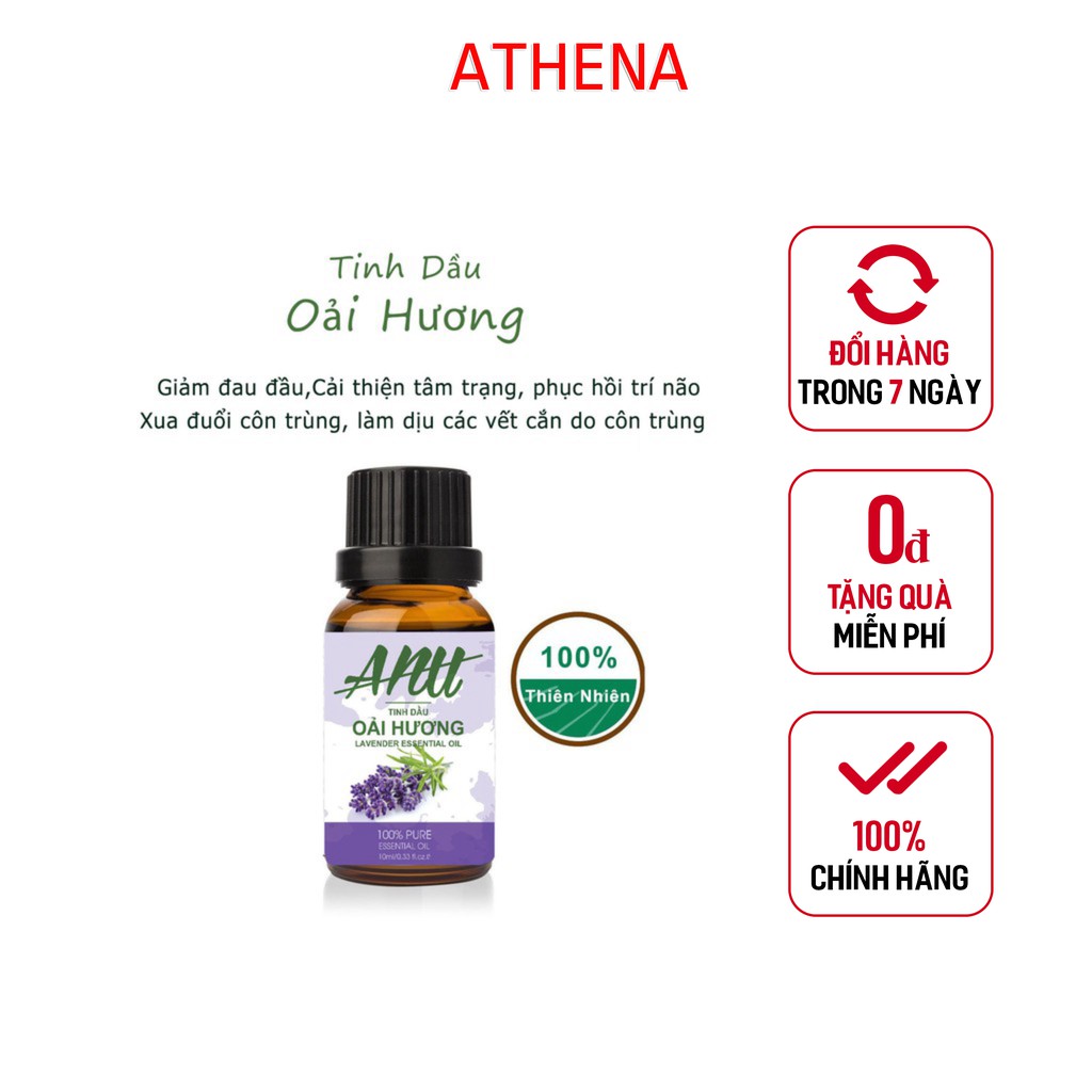 Tinh Dầu Oải Hương  Anu Fragrance | 100% Thiên Nhiên Nguyên Chất | LAVENDER ESSENTIAL OIL | Kiểm Nghiệm Quates