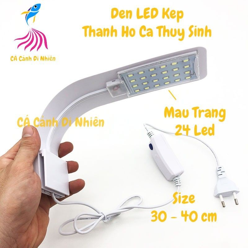Đèn LED kẹp hồ hồ cá thủy sinh