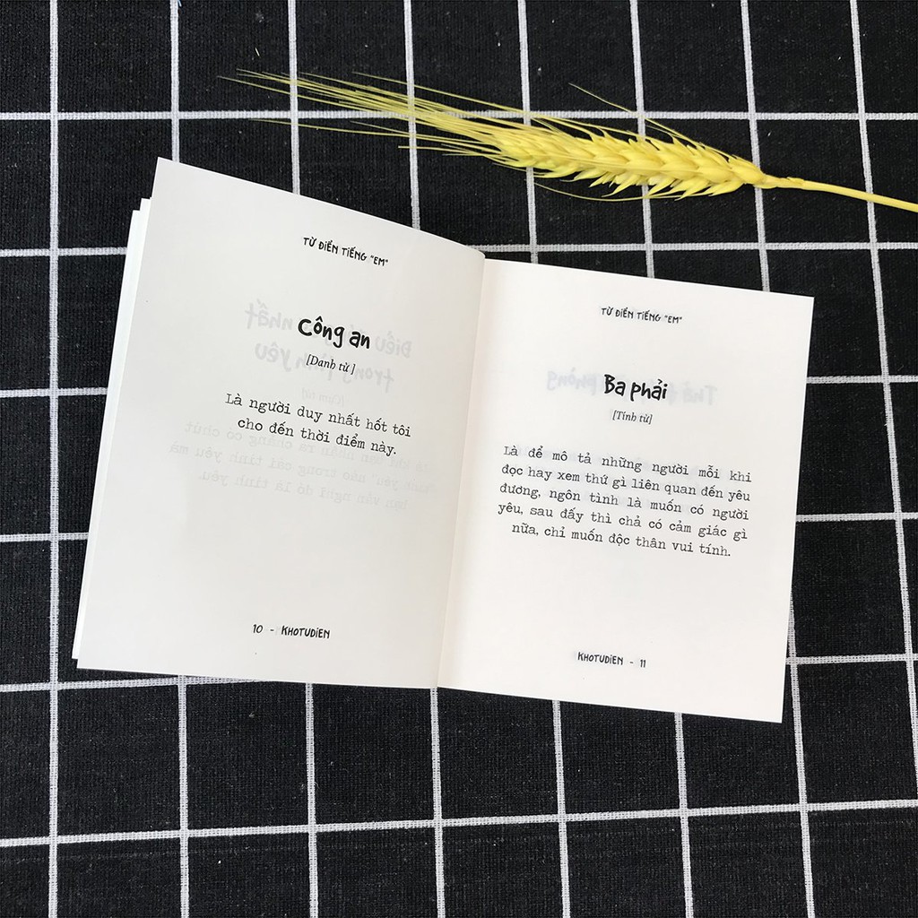 Sách - Từ Điển Tiếng “Em” | BigBuy360 - bigbuy360.vn