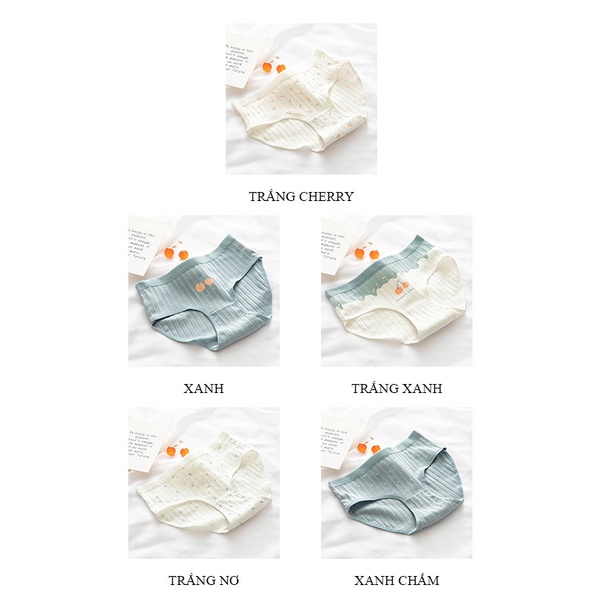 Quần lót nữ Cotton mềm mại kháng khuẩn nhiều hình dễ thương LAVENUSA QL26
