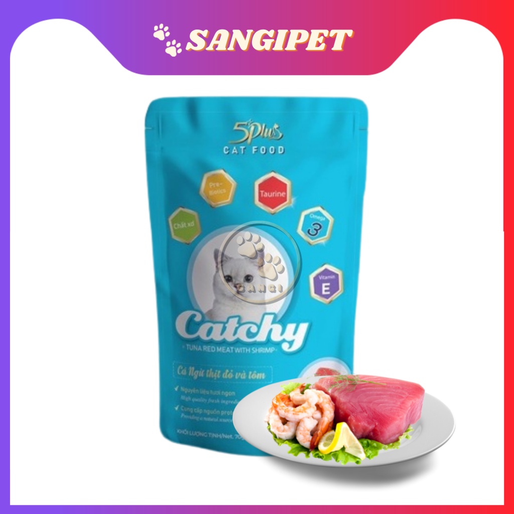 Pate mèo CATCHY 5Plus 70g - Pate thạch và sốt 5Plus đầy đủ 6 vị