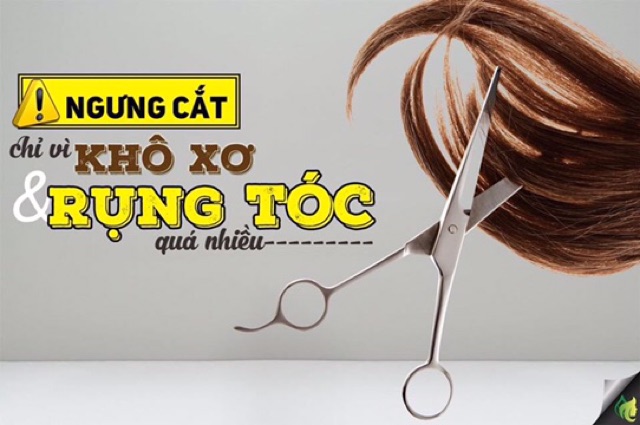 [rẻ nhất shopee] Dầu gội phục hồi tóc hư tổn khô xơ Prosee