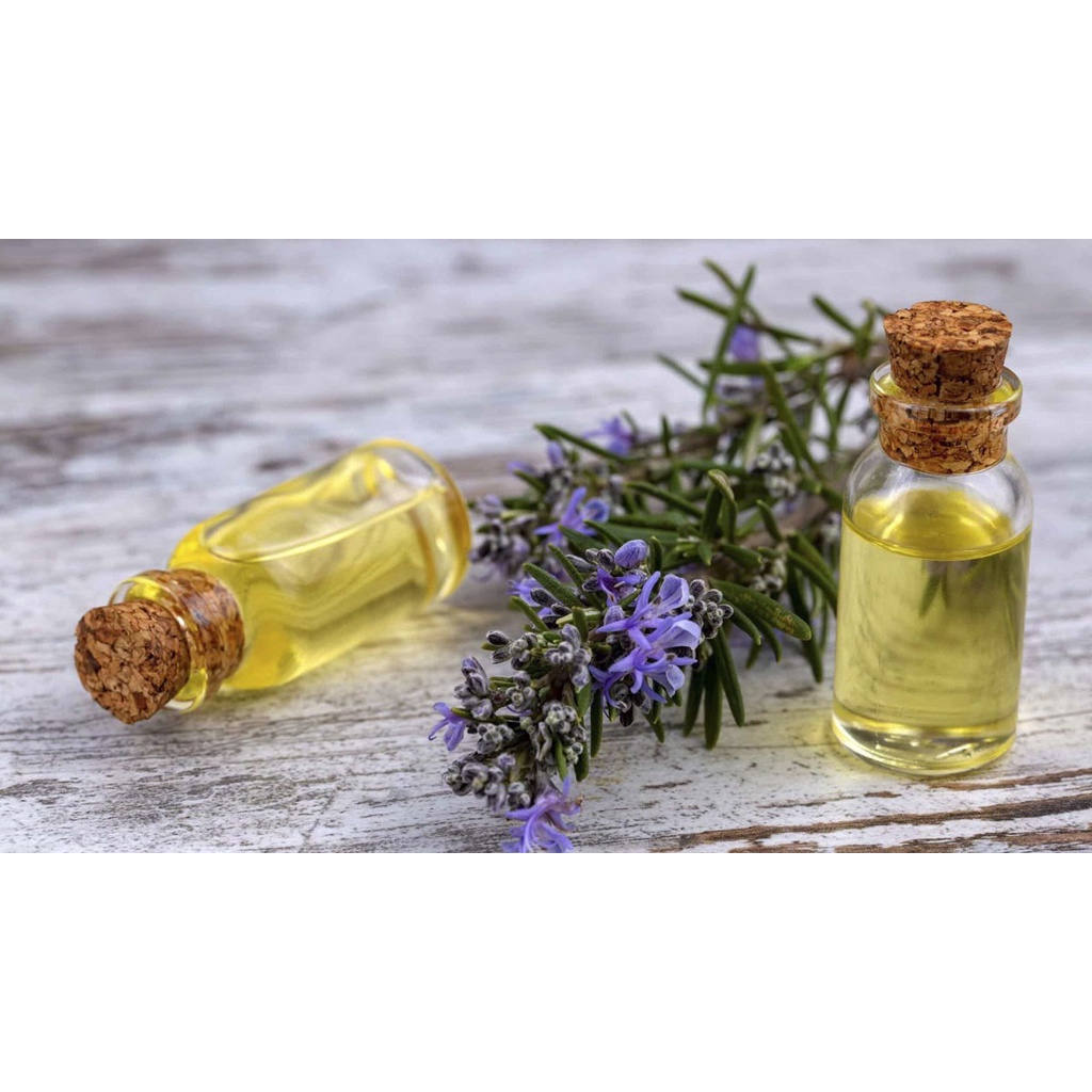 [Mã 155LIFESALE giảm 8% đơn 99K] [GIÁ DÙNG THỬ] Tinh Dầu Hương Thảo Thiên Nhiên - Rosemary essential oil