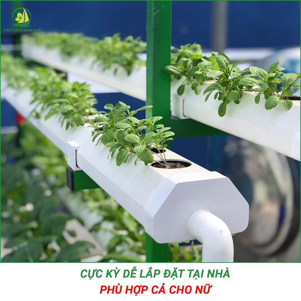 Giàn thuỷ canh thông minh cho người mới bắt đầu | 60 lỗ rau