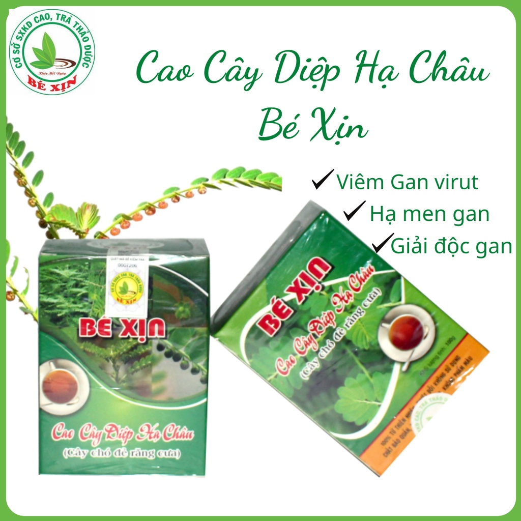 CAO CÂY DIỆP HẠ CHÂU BÉ XỊN ( CÂY CHÓ ĐẺ RĂNG CƯA ) Lọ 100gr - Dùng cho lá gan khoẻ