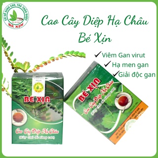 CAO CÂY DIỆP HẠ CHÂU BÉ XỊN ( CÂY CHÓ ĐẺ RĂNG CƯA ) Lọ 100gr - Dùng cho lá gan khoẻ