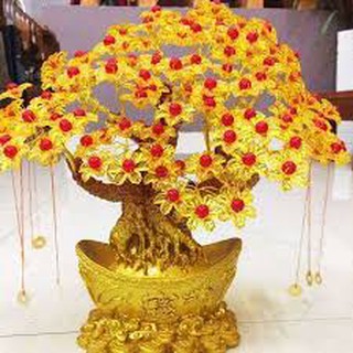 Cây kim tiền 7 cành phát tài, lộc- GỐC THỎI VÀNG