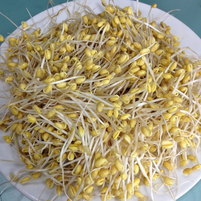 1kg Đậu nành làm Giá đỗ