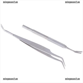 1 Dụng Cụ Lấy Bọ Chét Cho Thú Cưng, Chất Liệu Thép Không Gỉ