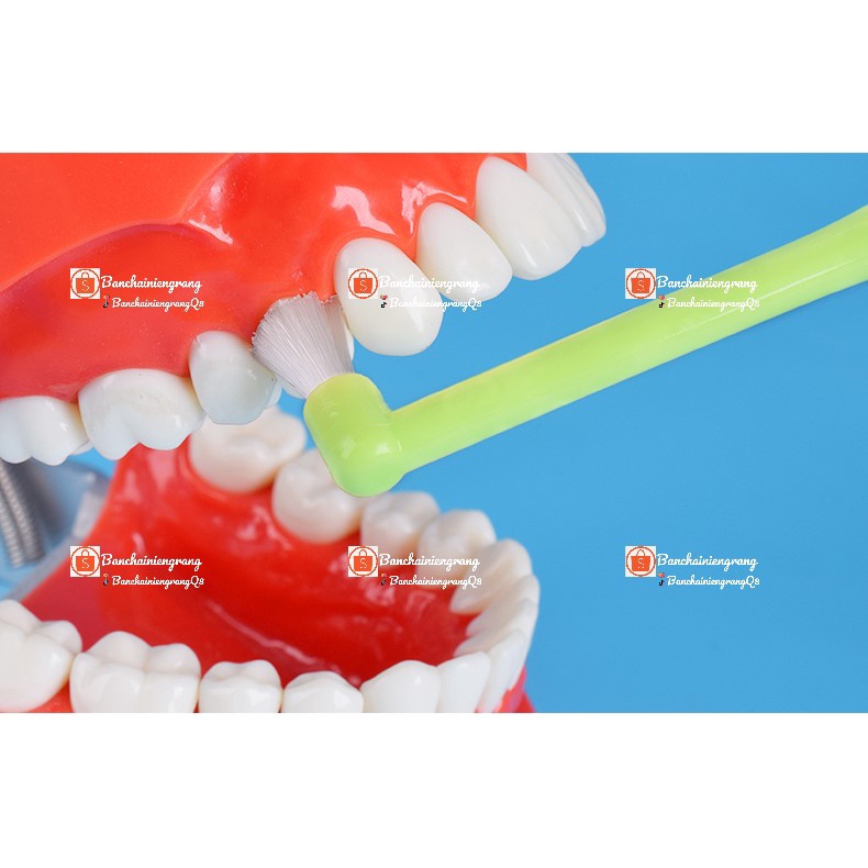 Bàn chải nhỏ, Bàn chải kẽ cho người niềng; Chải răng khôn