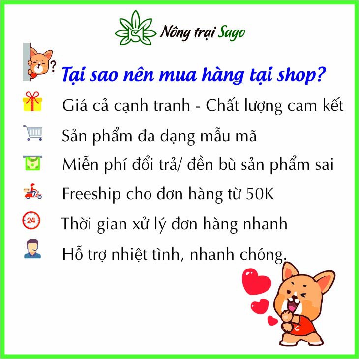 Hạt giống Dưa Chuột Gai Mini Siêu Trái, Sinh Trưởng Khỏe, Trồng Quanh Năm (gói 25 Hạt) - Nông Trại Sago