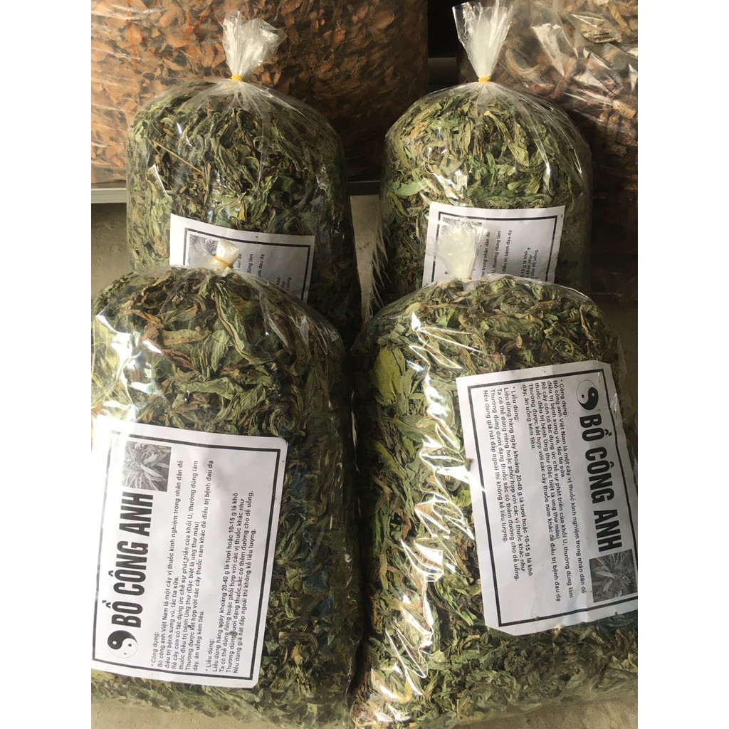 200g LÁ BỒ CÔNG ANH HÒA BÌNH