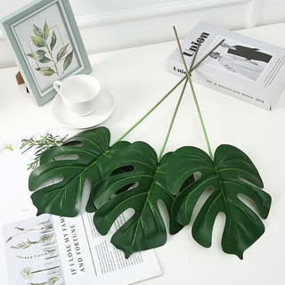 LÁ MONSTERA TRANG TRÍ PHONG CÁCH BẮC ÂU