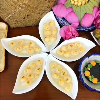 Set chè sen long nhãn tự nấu hafarm giải nhiệt, an thần set 20 chén hac14