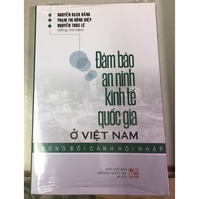 Sách - Đảm Bảo An Ninh Kinh Tế Quốc Gia Ở Việt Nam Trong Bối Cảnh Hội Nhập