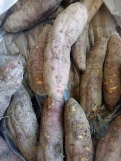 Khoai lang mật Đà Lạt