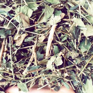 Chè vằng lợi sữa giảm cân