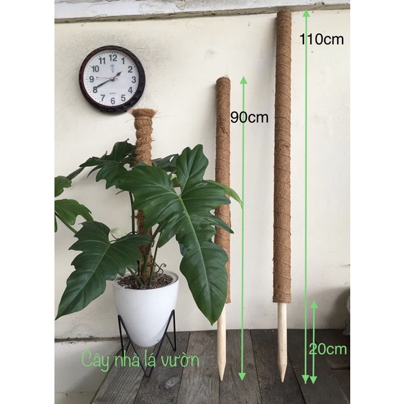 Trụ cột xơ dừa loại cao 90/110cm có thể nối.