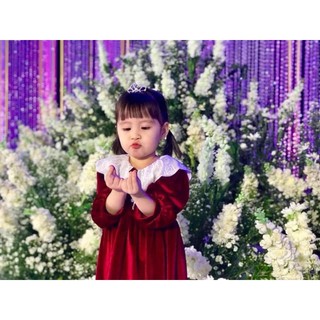 Váy nhung cổ bèo