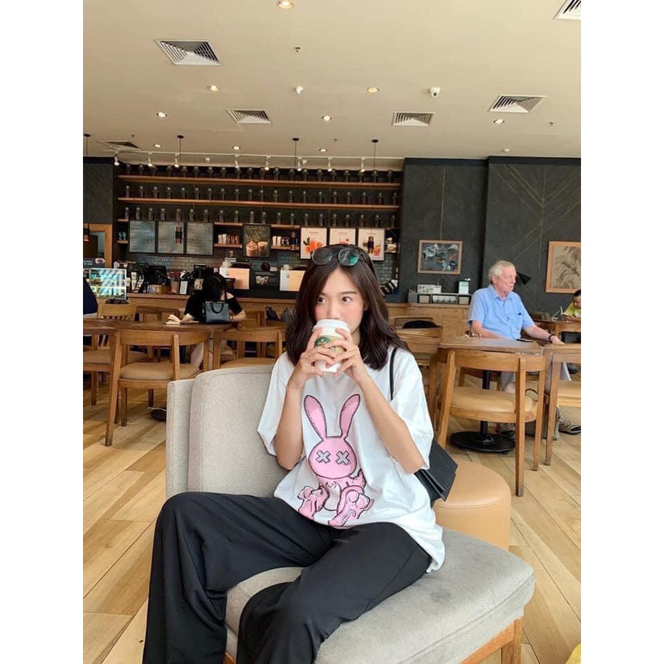 áo thun cotton thỏ