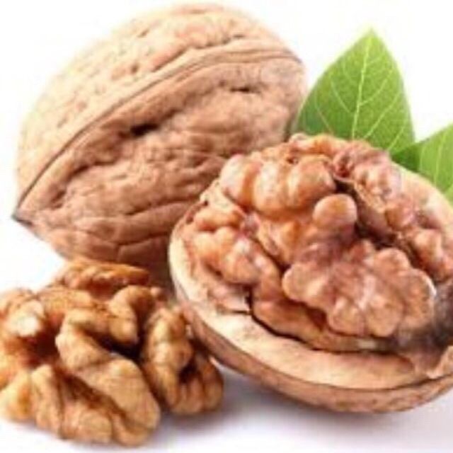 CÂY GIỐNG ÓC CHÓ.