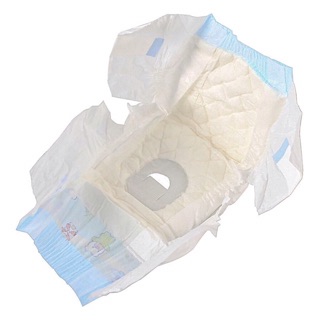 Bỉm cho chó mèo bịch 10 cái