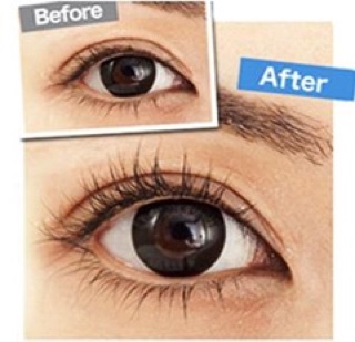Bấm mi cong Eyelash Device hình thú Gấu Thỏ Vịt