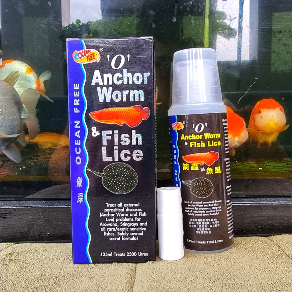 Anchor Worm &amp; Fish Lice | Chai số 0 Cá rồng diệt trùng mỏ neo và rận nước