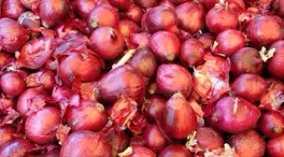 Chuyên sỉ Hành tím InĐô
