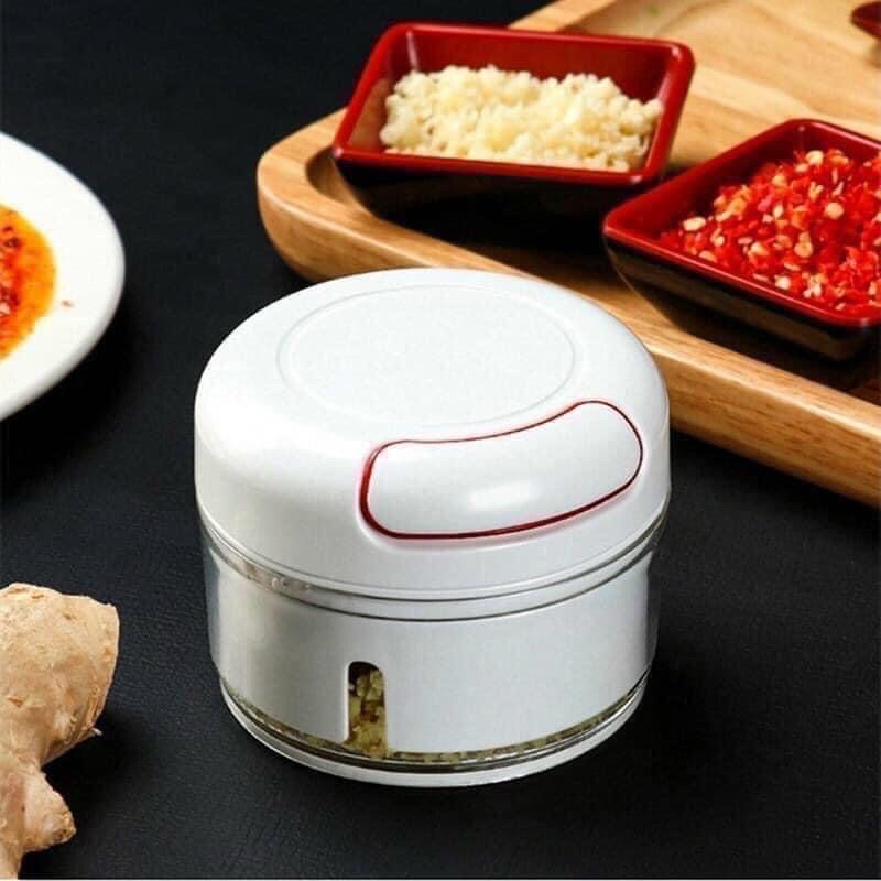 Dụng cụ xay tỏi ớt cầm tay