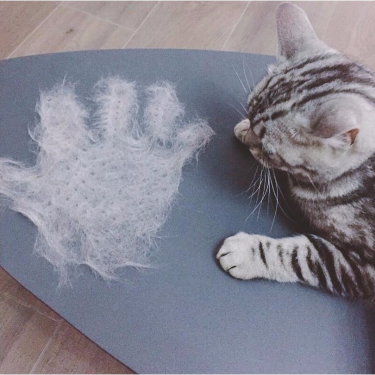 [Siêu HOT] Găng tay chải lông chó mèo siêu tiện lợi, không gây đau