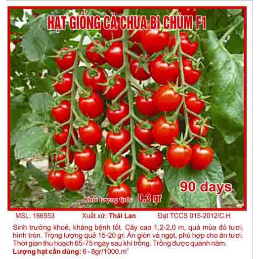 Hạt giống cà chua bi chùm